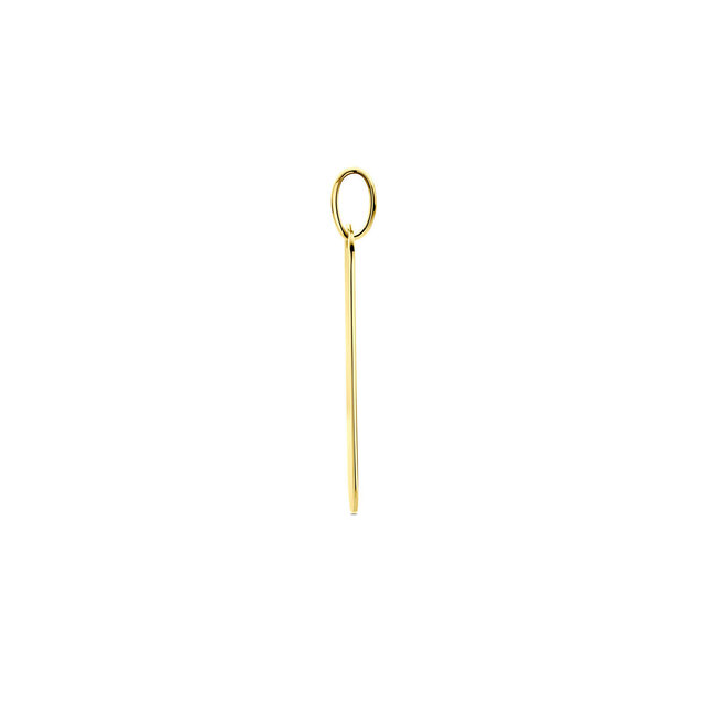 Blinckers Jewellery Huiscollectie BJ Hanger 40.34350 14k Geelgoud Balk Afgerond 2.9cm 25 x7 mm