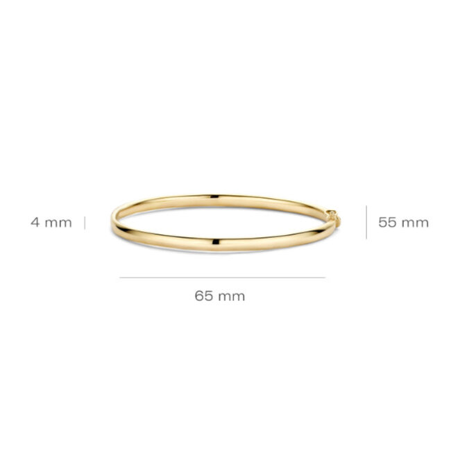 Blush Blush Armband 2155YGO Bangle 14k Geelgoud 4mm Maat 60