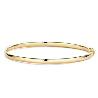 Blush Blush Armband 2155YGO Bangle 14k Geelgoud 4mm Maat 60