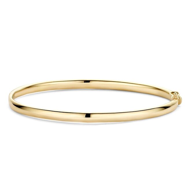 Blush Blush Armband 2155YGO Bangle 14k Geelgoud 4mm Maat 60