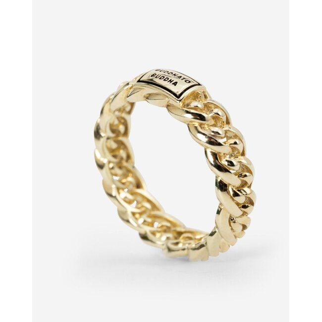 Buddha to Buddha Buddha to Buddha Ring 612GV 17,5  Nathalie XS Zilver met Geelgouden Plating Maat 17,5