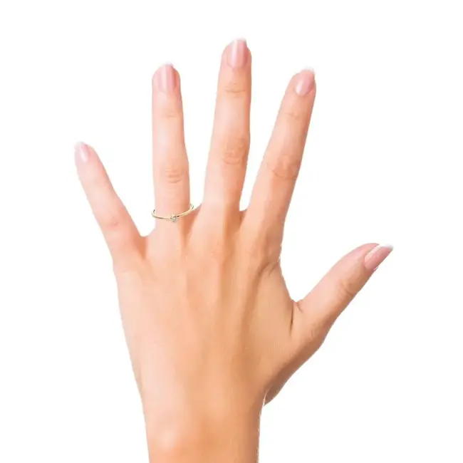 Miss Spring Miss Spring Ring MSR024DI/55 14k Geelgoud 0.03crt H SI Briljant geslepen Diamant Maat 55