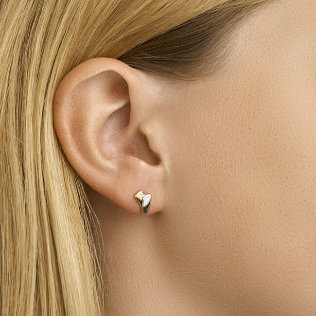 Blinckers Jewellery Huiscollectie 42.07718 Oorbellen 14 Krt Goud bicolour