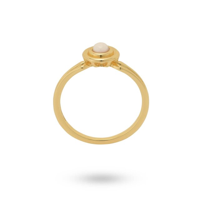 24KAE 24Kae Ring 124146Y/54 Zilver met 18k Geelgoud Plating met Lichtroze Steen Maat 54