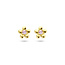 Blinckers Jewellery Huiscollectie BJ Oorbellen 40.26897 14k Geelgoud Oorknoppen Bloem met Roze Zirkonia 4,5mm