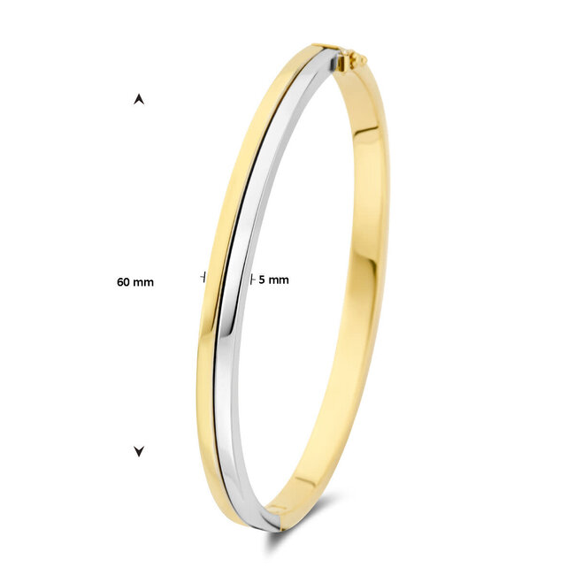 The House Of Blinckers THOB Armband 42.07610 Bangle 14k Geel- en Witgoud Vlak Buis 5mm x 60mm