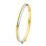 The House Of Blinckers THOB Armband 42.07610 Bangle 14k Geel- en Witgoud Vlak Buis 5mm x 60mm