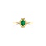 Blush Blush Ring 1272YMA/54 14k Geelgoud met Malachiet Maat 54