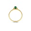 Blush Blush Ring 1272YMA/54 14k Geelgoud met Malachiet Maat 54