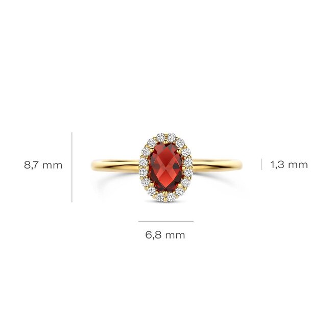 Blush Blush Ring 1271YGA/54 14k Geelgoud met Granaat en Zirkonia 6.7mm x 8.6mm Maat 54