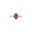 Blush Blush Ring 1271YGA/54 14k Geelgoud met Granaat en Zirkonia 6.7mm x 8.6mm Maat 54