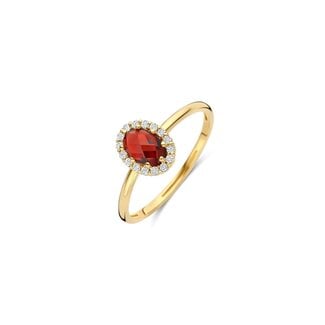 Blush Blush Ring 1271YGA/54 14k Geelgoud met Granaat en Zirkonia 6.7mm x 8.6mm Maat 54
