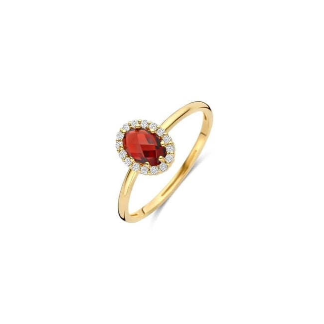 Blush Blush Ring 1271YGA/54 14k Geelgoud met Granaat en Zirkonia 6.7mm x 8.6mm Maat 54