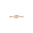 Blush Blush Ring LG1030Y/54 14k Geelgoud met 0,15crt/0,10crt G VS1 Lab Grown Diamant Maat 54