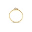 Blush Blush Ring LG1030Y/54 14k Geelgoud met 0,15crt/0,10crt G VS1 Lab Grown Diamant Maat 54