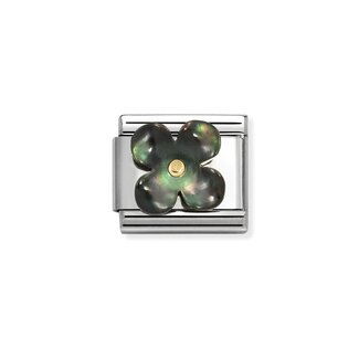 Nomination Nomination Schakel 030521-22 Compossable Classic Staal met 18k Geelgoud Bloem Zwart
