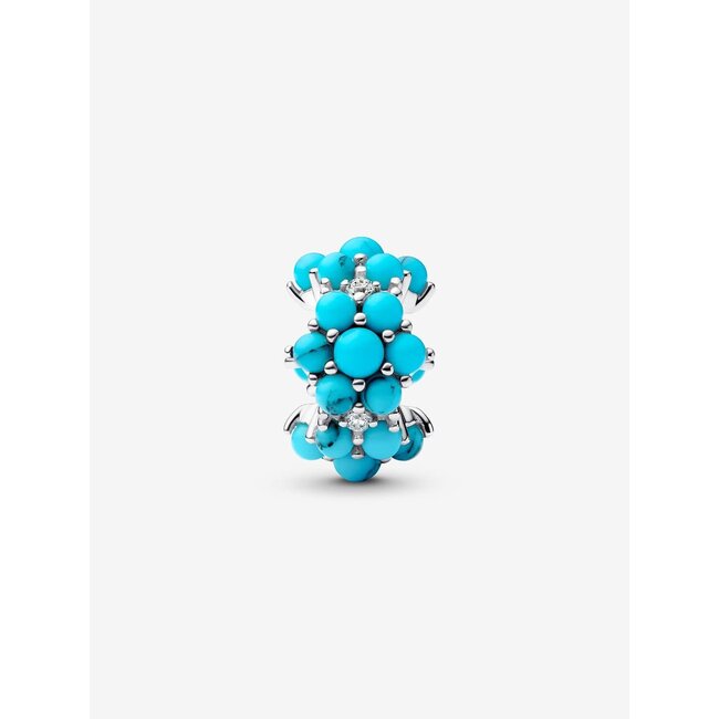 Pandora Pandora Bedel 793897C02 Zilver met Oceaan Turquoise