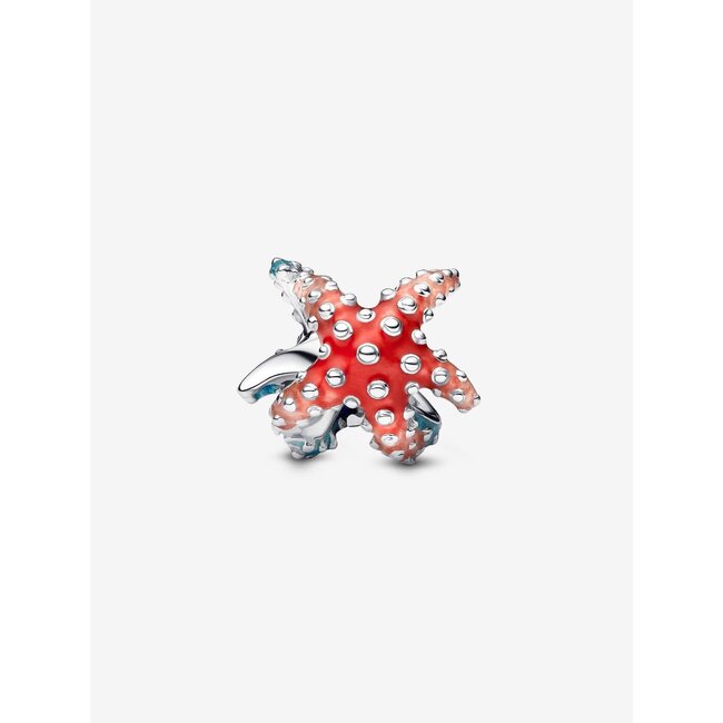 Pandora Pandora Bedel 793817C01 Zilver Zeester met Blauw en Roze