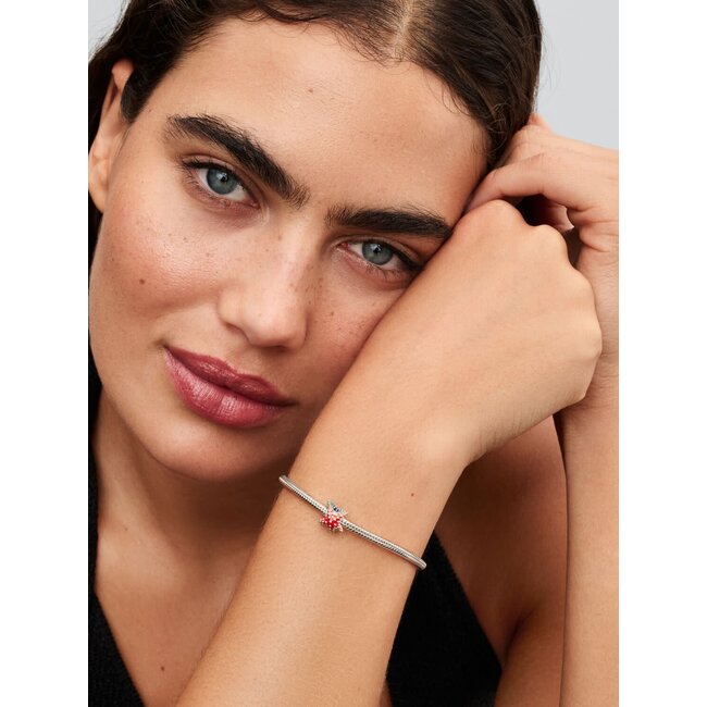 Pandora Pandora Bedel 793817C01 Zilver Zeester met Blauw en Roze