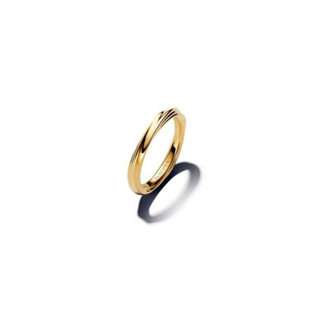 Pandora Pandora Ring 163888C00-54 Zilver 14k Geelgoud Plating Gedraaid Maat 54