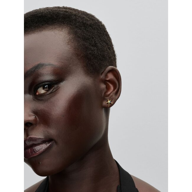 Pandora Pandora Oorbellen 263820C01 Zilver 14k Geelgoud Plating Zeesterren met Blauw