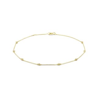 Blinckers Jewellery Huiscollectie BJ Enkelbandje 40.31299 14k Geelgoud Anker met Zirkonia 2.5mm 24 - 26mm