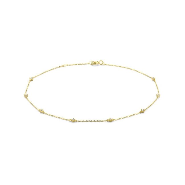 Blinckers Jewellery Huiscollectie BJ Enkelbandje 40.31299 14k Geelgoud Anker met Zirkonia 2.5mm 24 - 26mm