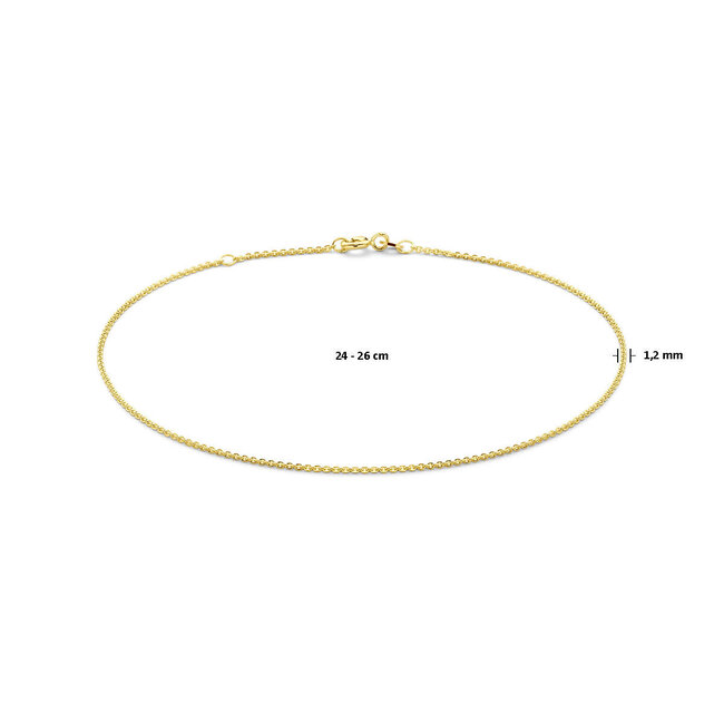 Blinckers Jewellery Huiscollectie BJ Enkelbandje 40.31293 14k Geelgoud Anker 1.2mm 24 - 26cm
