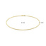 Blinckers Jewellery Huiscollectie BJ Enkelbandje 40.31293 14k Geelgoud Anker 1.2mm 24 - 26cm