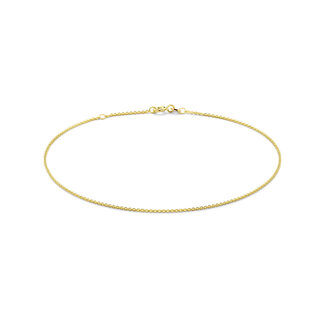 Blinckers Jewellery Huiscollectie BJ Enkelbandje 40.31293 14k Geelgoud Anker 1.2mm 24 - 26cm