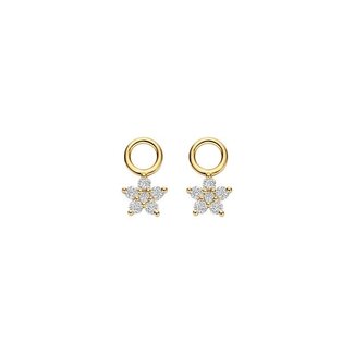 Blush Blush Oorbedels LG9005Y 14k Geelgoud met 0,25crt H SI Briljant geslepen Lab Grown Diamant