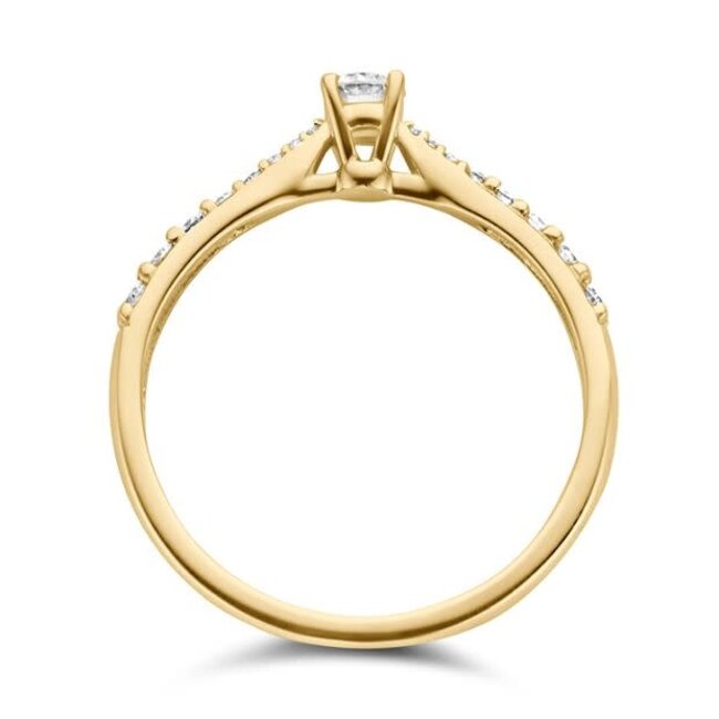 Blush Blush Ring 1659BDI/54 14k Geelgoud 0.33ct G SI Briljant geslepen Diamant Maat 54