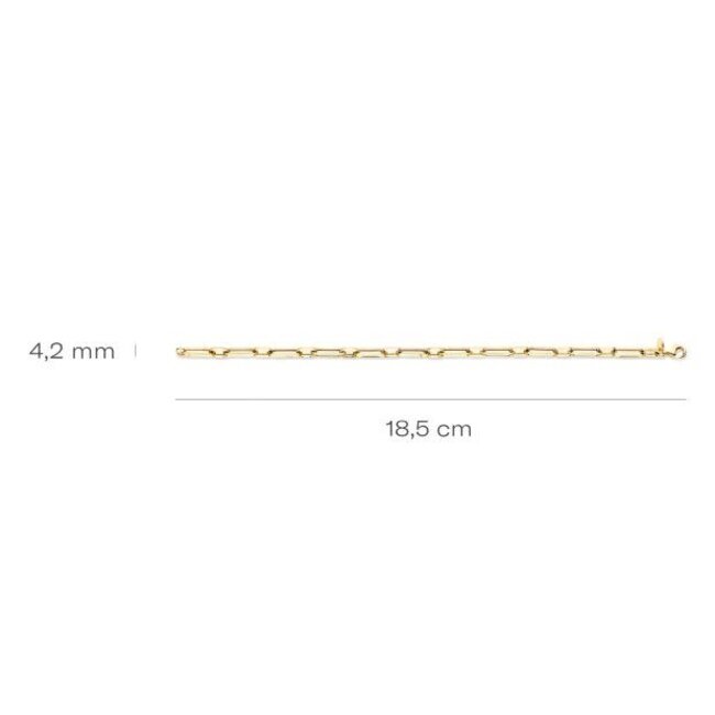 Blush Blush Armband 2251YGO 14k Geelgoud Closed Forever Armband