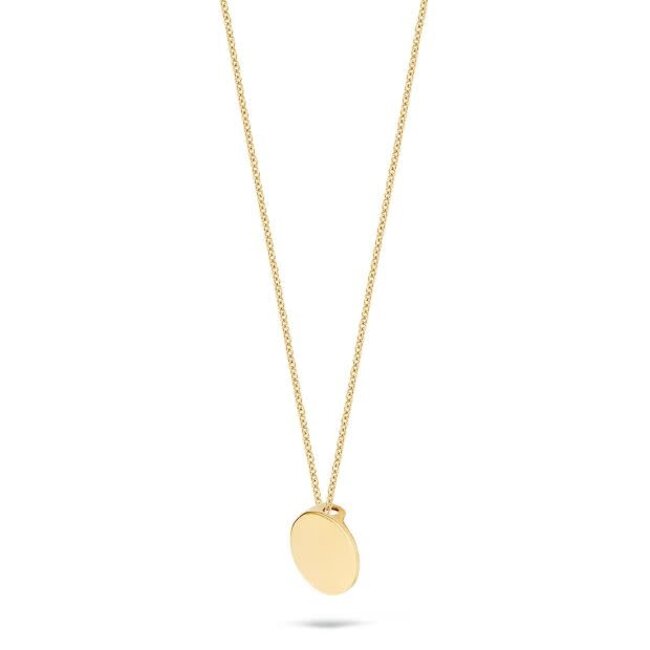 Blush Blush Collier met Hanger 3088YGO 14k Geelgoud Rond 42cm
