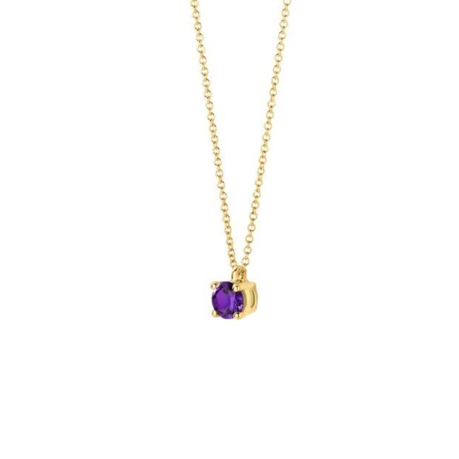 Blush Blush Collier 3200YAM Februari 14k Geelgoud met Amethyst 42cm