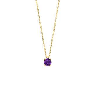 Blush Blush Collier 3200YAM Februari 14k Geelgoud met Amethyst 42cm
