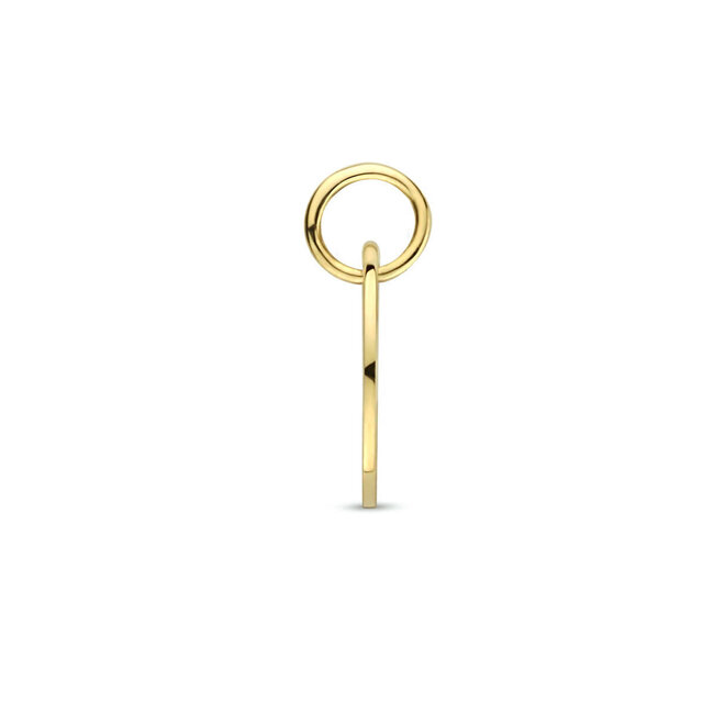 Blinckers Jewellery Huiscollectie BJ Hanger 40.23515 14k Geelgoud met Sterrenbeeld Ram 13mm x 10mm