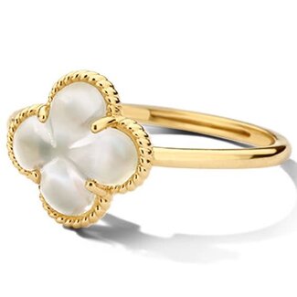 Blush Blush Ring 1269YMQ/54 14k Geelgoud met Parelmoer Maat 54