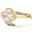 Blush Blush Ring 1269YMQ/54 14k Geelgoud met Parelmoer Maat 54