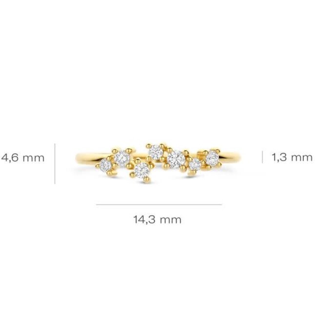 Blush Blush Ring 1267YZI/54 14k Geelgoud met Zirkonia Maat 54