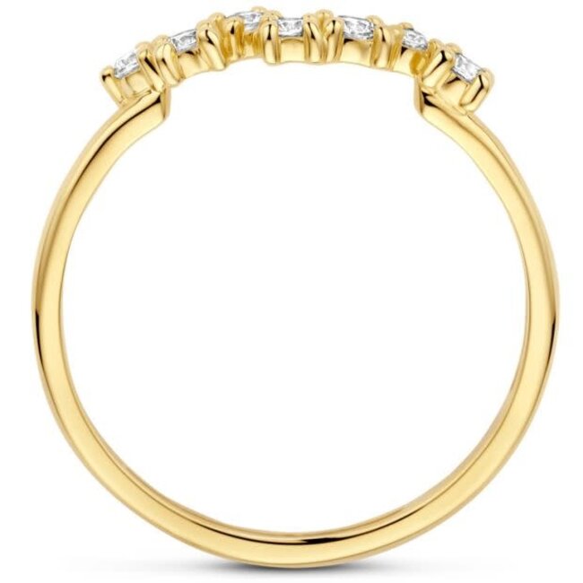 Blush Blush Ring 1267YZI/54 14k Geelgoud met Zirkonia Maat 54