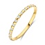 Blush Blush Ring 1268YZI/54 14k Geelgoud met Zirkonia Maat 54