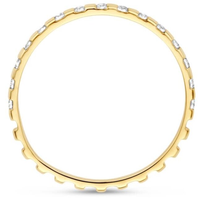 Blush Blush Ring 1268YZI/54 14k Geelgoud met Zirkonia Maat 54