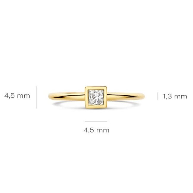 Blush Blush Ring 1274YZI/54 14k Geelgoud met Zirkonia Maat 54