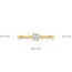 Blush Blush Ring LG1027Y/54 14k Geelgoud met 0,15crt G VS 1 Lab Grown Diamant Maat 54