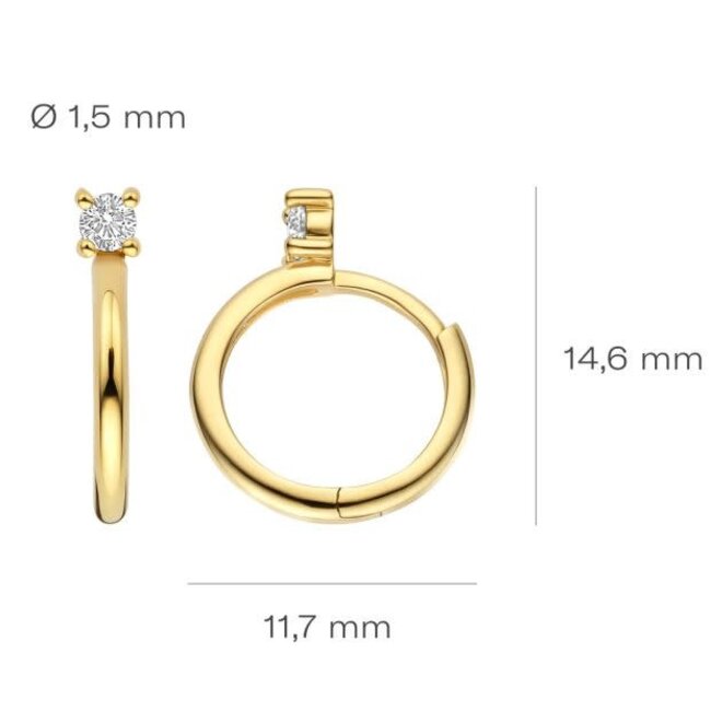 Blush Blush Oorbellen 7372YZI 14k Geelgoud Oorringen met Zirkonia