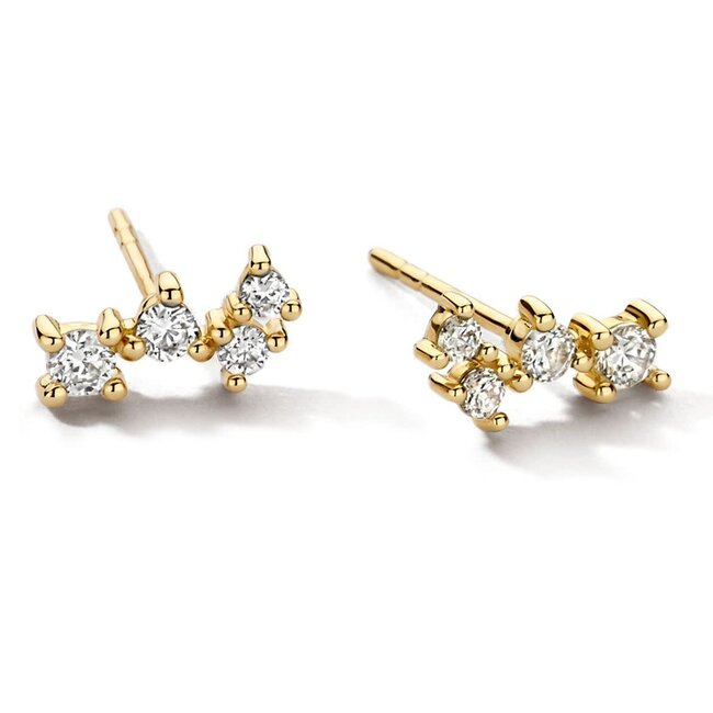 Blush Blush Oorbellen 7373YZI 14k Geelgoud Oorstekers met Zirkonia