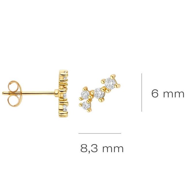Blush Blush Oorbellen 7373YZI 14k Geelgoud Oorstekers met Zirkonia