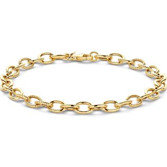 Blush Blush Armband 2255YGO 14k Geelgoud Schakel 18cm