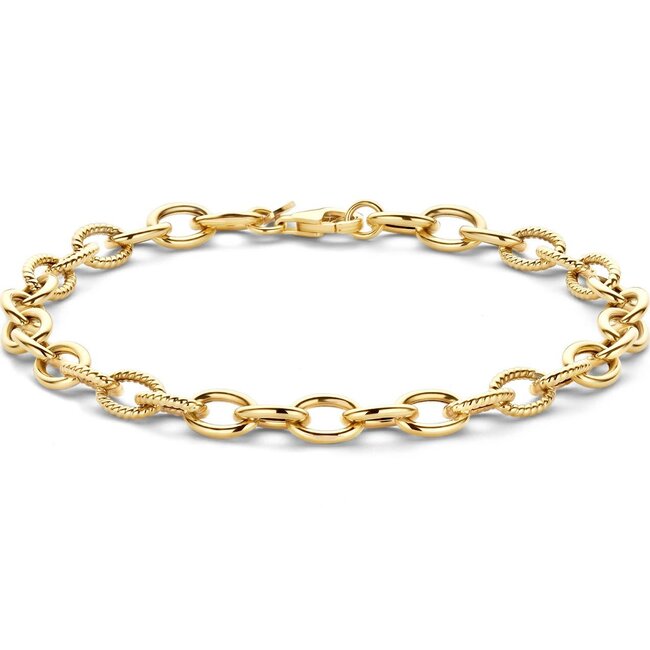 Blush Blush Armband 2255YGO 14k Geelgoud Schakel 18cm
